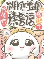 糊是什么意思饭圈