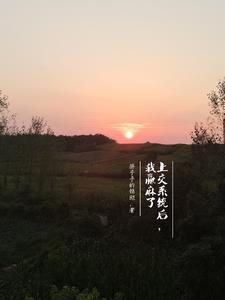 书名我被系统坑惨了